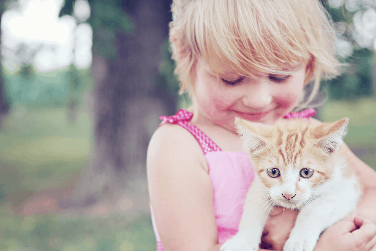 kitten and kid 