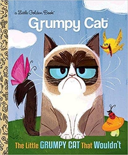 The Little Grumpy Cat that Wouldn’t