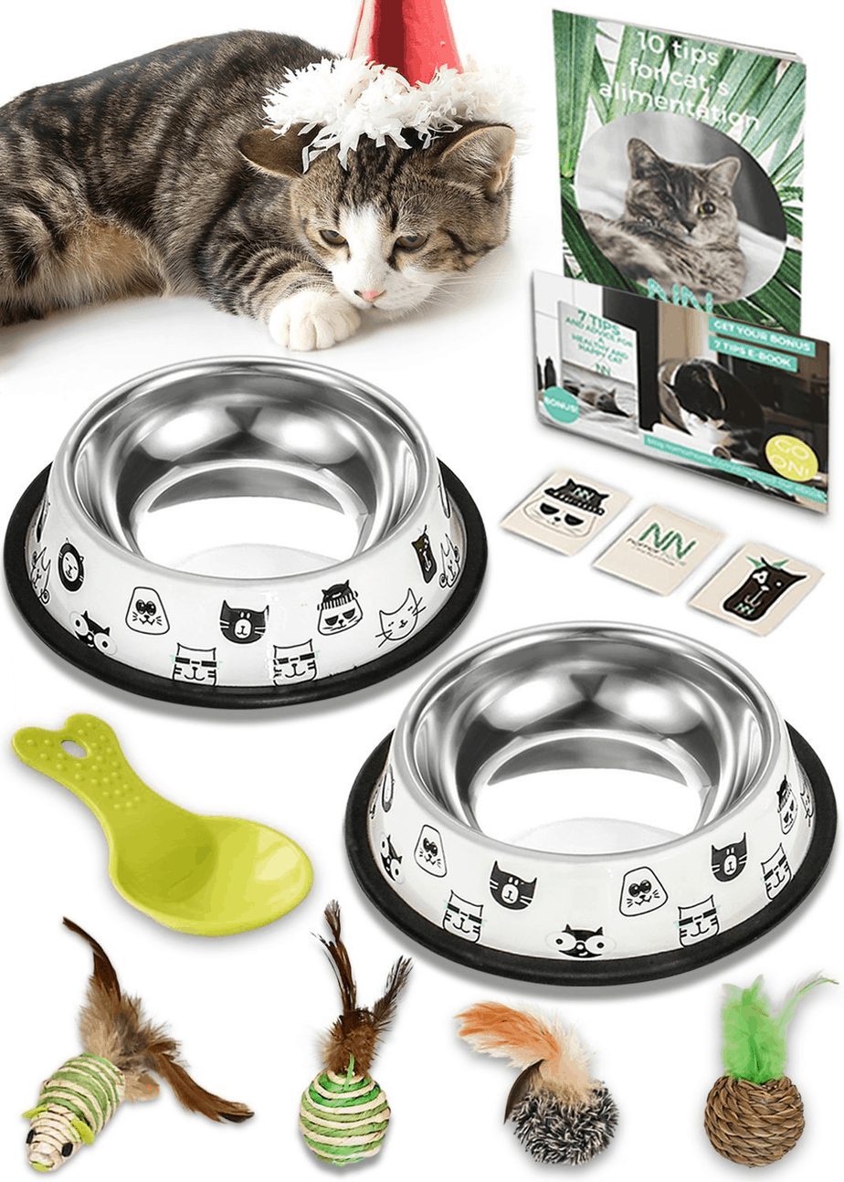 Nornor Cat Bowl Set