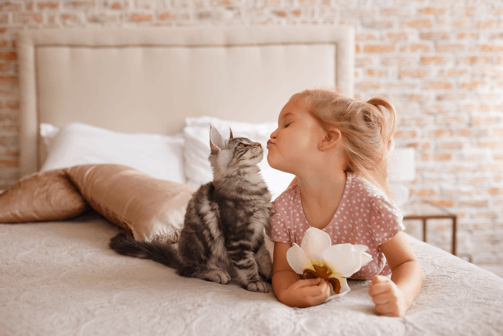 cat and kid kissing