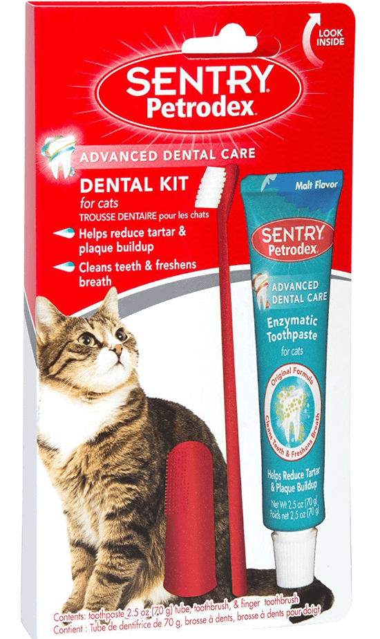 Best for Kittens: Petrodex Dental Kit for Cats, Malt Flavor Toothpaste