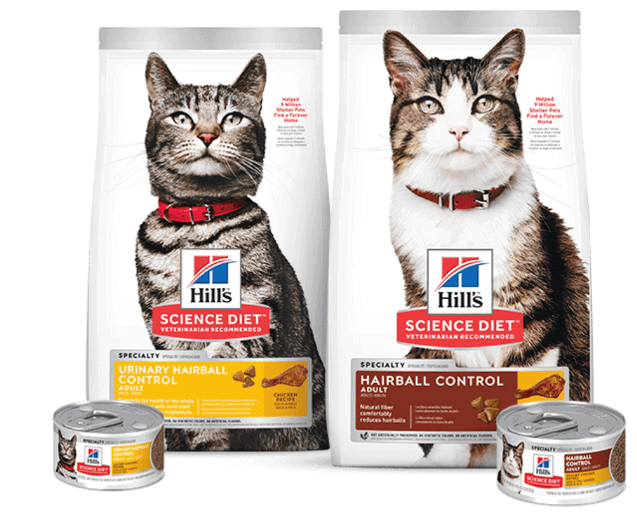 IAMS vs Science Diet Cat Food: Which is Better? | OliveKnows