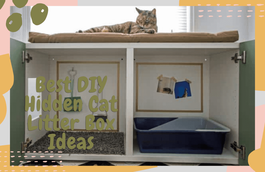 DIY Litter Box Cabinet - Domestically Creative