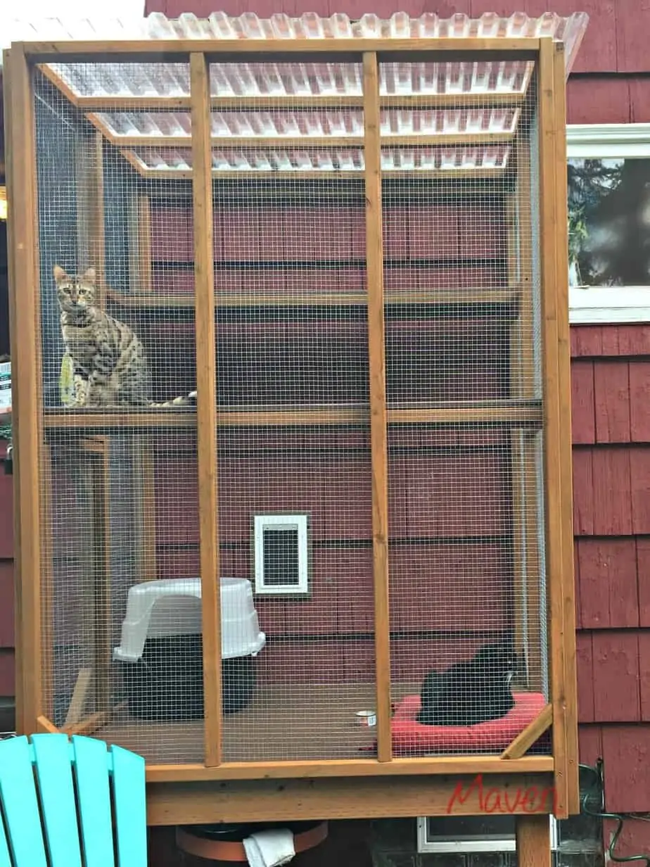 DIY Catio with Litter Box 