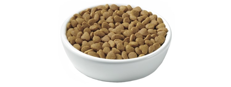 Purina Healthy Weight