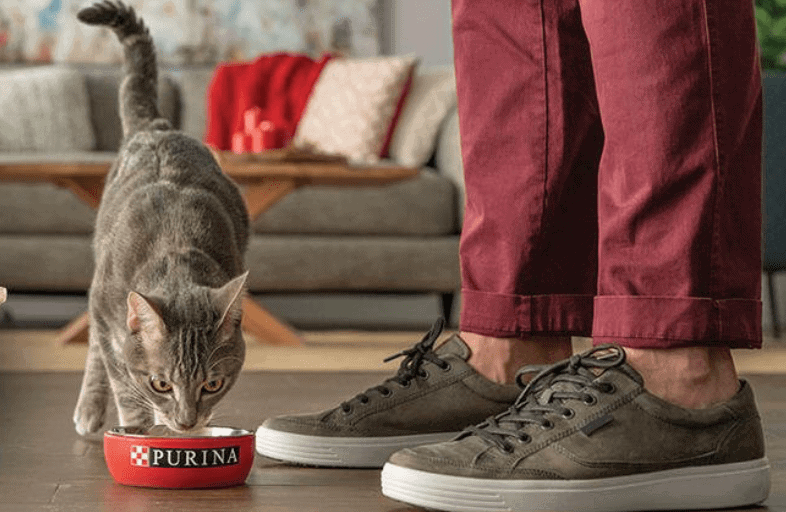 Purina cat food Meow Mix vs Purina