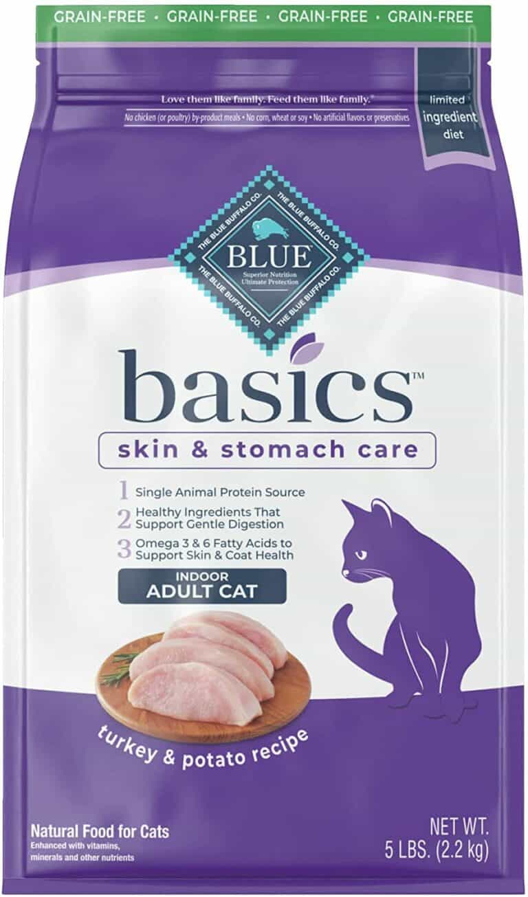 Best Cat Food for Sensitive Stomachs Your Cat Needs OliveKnows