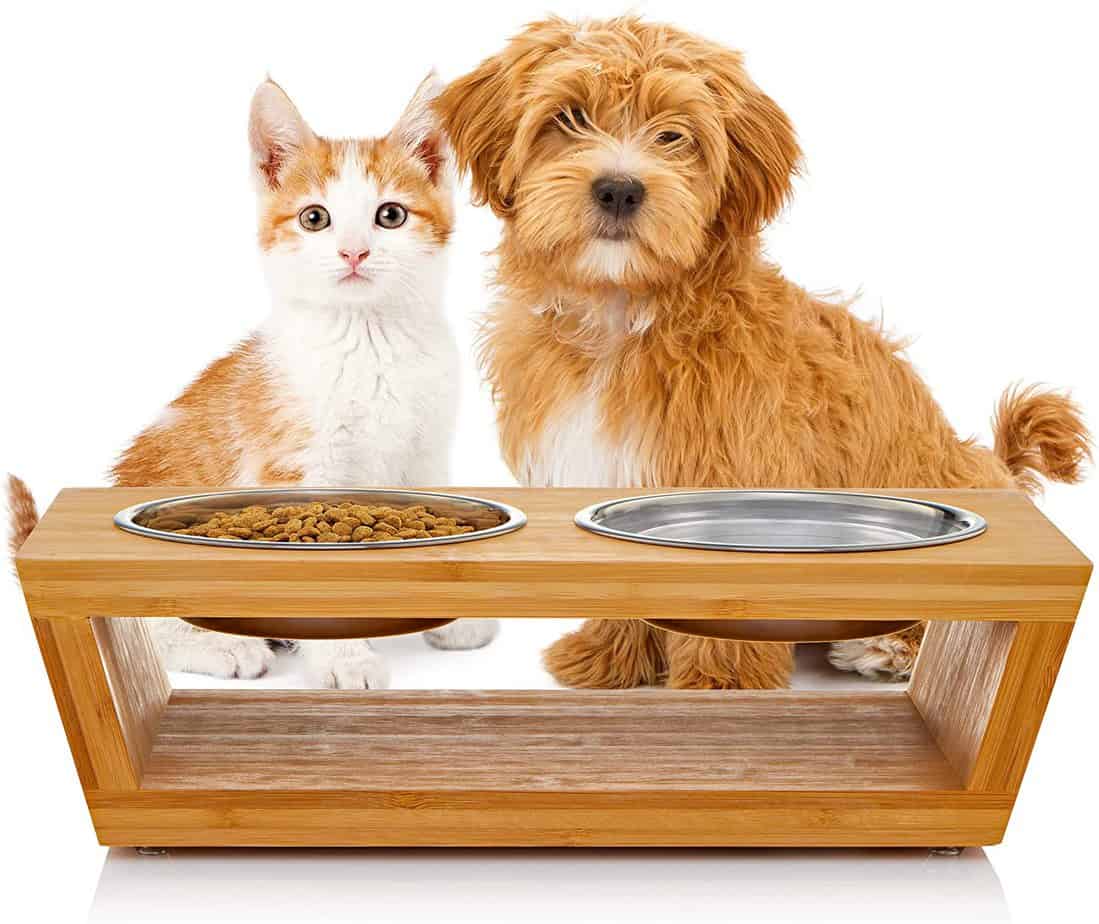 Pawfect Pets Raised Cat Feeder