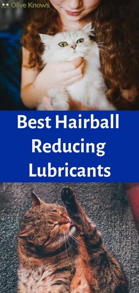 Best Hairball Reducing Lubricants