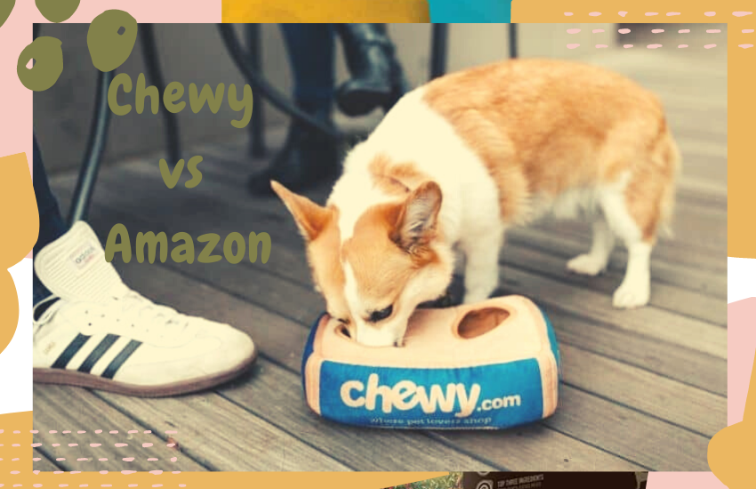 Chewy vs Amazon [2022] Which is the Better Retailer? OliveKnows