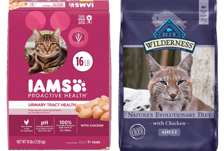 Iams vs Blue Buffalo Cat Food Compared [2021] Which Is The Best?