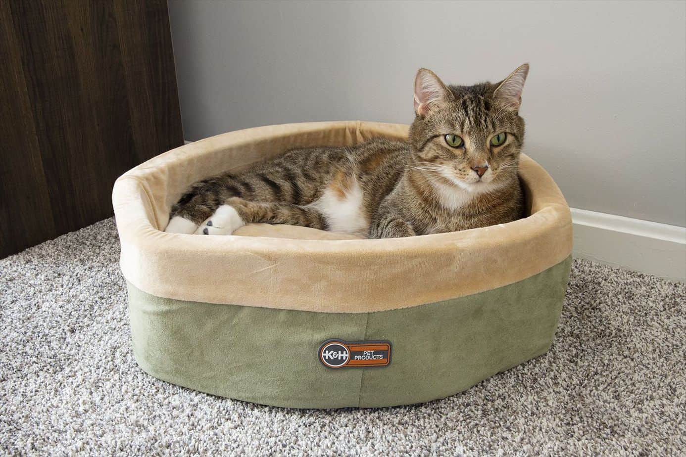 Give Your Cat Her Own Bed