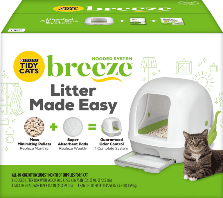 7 Best Litter Boxes for Senior Cats Older Cat Litter Boxes OliveKnows