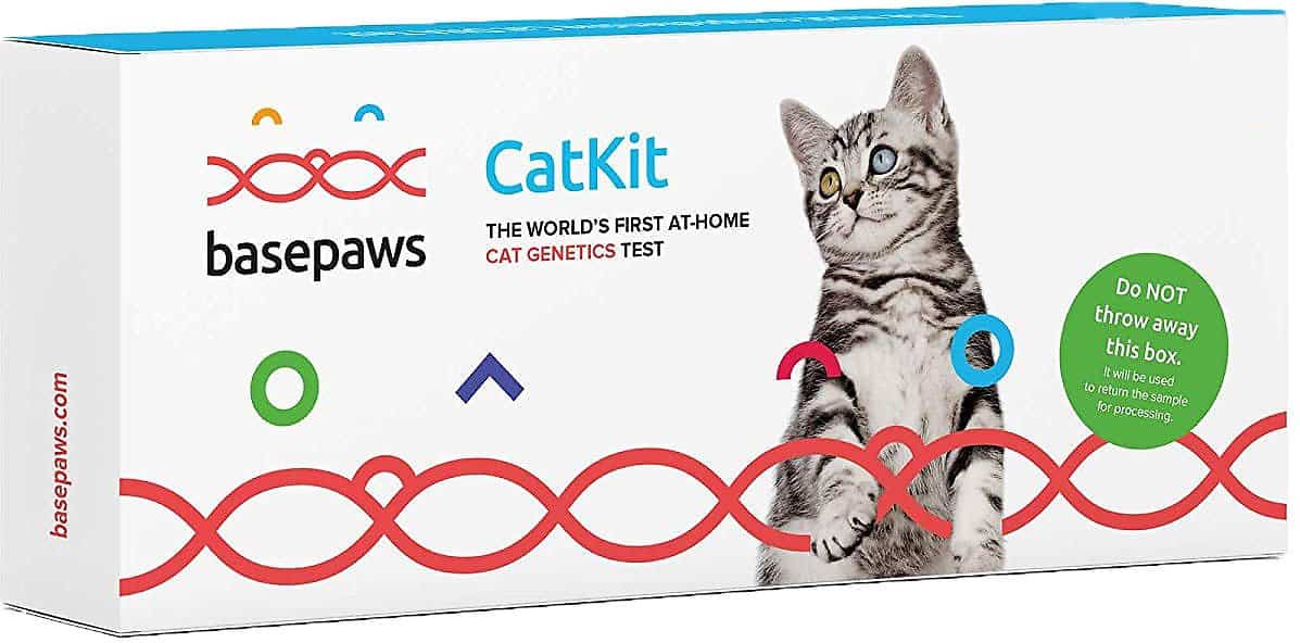 BASEPAWS Breed + Health DNA Test for Cats -