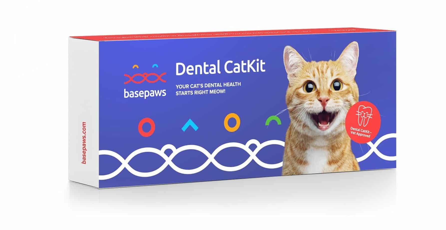 dental catkit basepaw