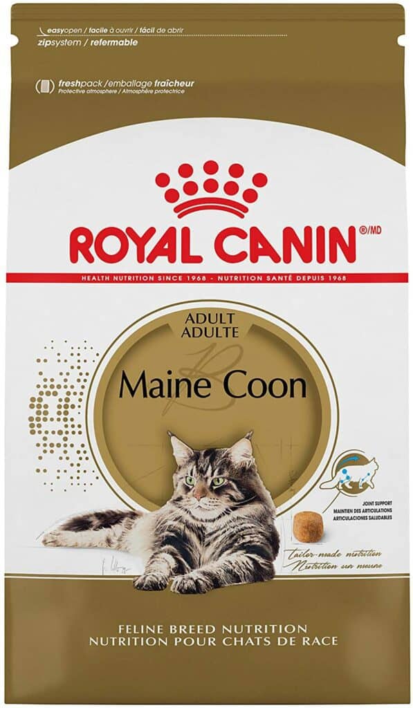 Royal Canin Maine Coon